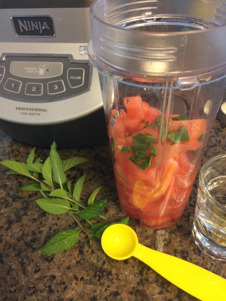 Watermelon and mint in the blender bowl ready to puree.