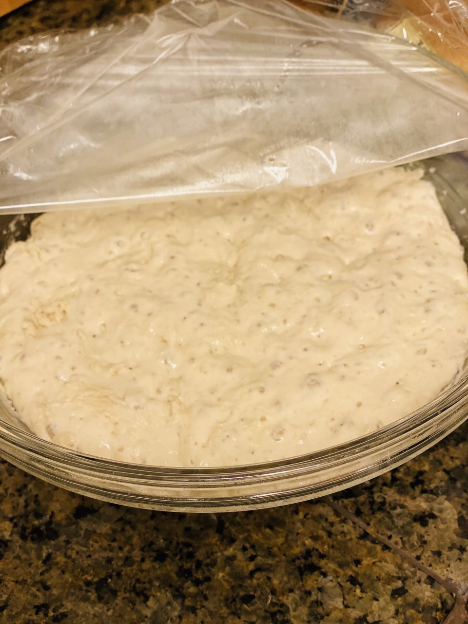 Ciabatta bread "sponge" bubbling up in a bowl.