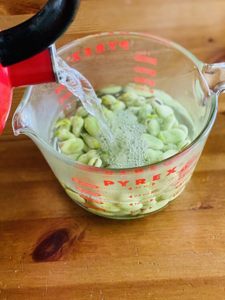 Add hot water to shelled fava beans