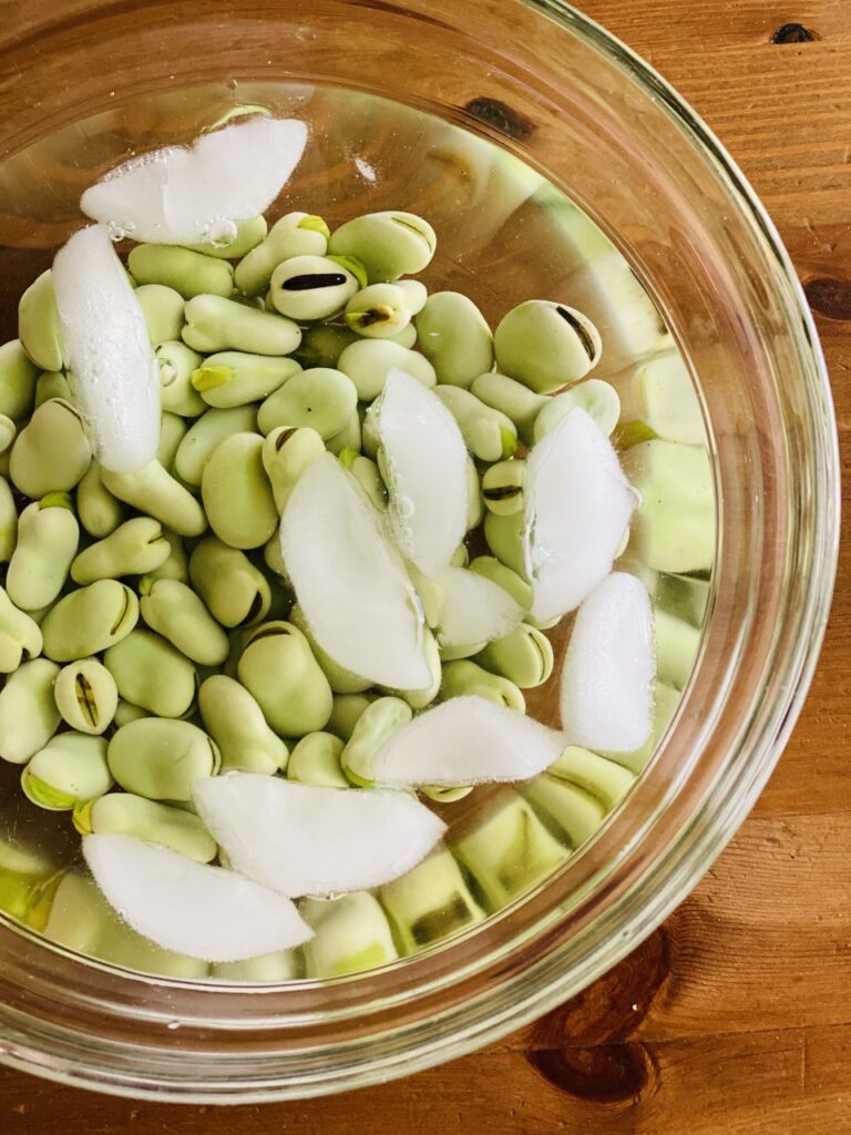 Plunge cooked favas into ice water bath