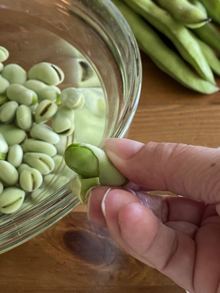Peel skin off each fava bean