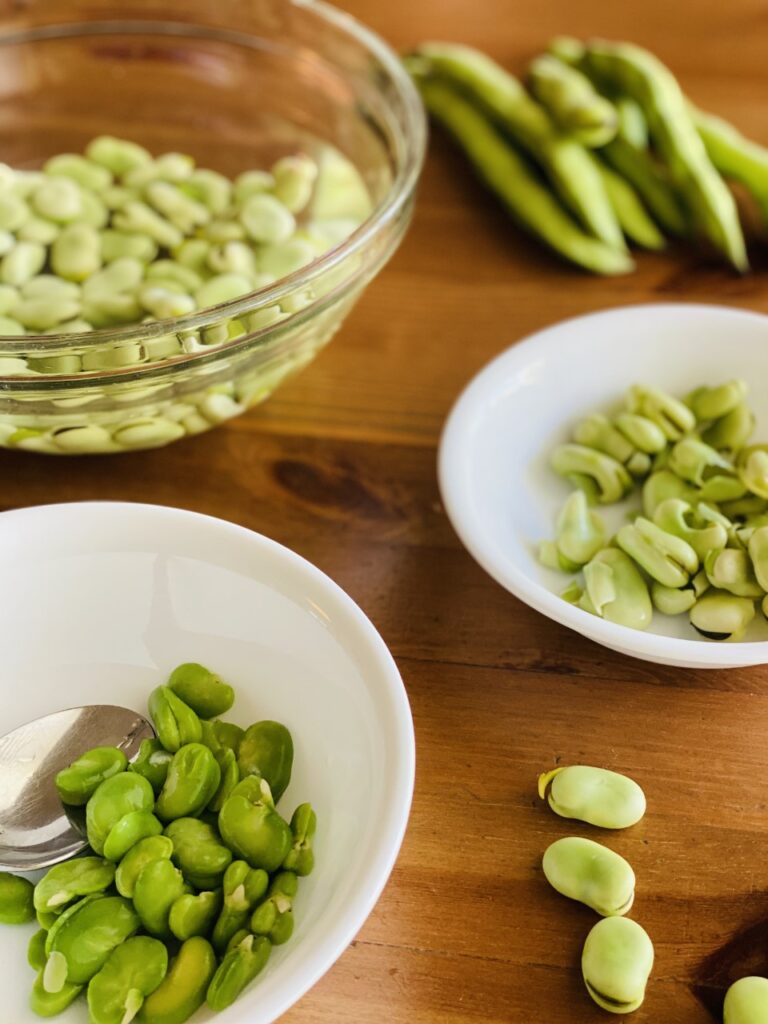 All stages of fava beans - pods, beans with shell, peeled fava beans, and fava skins