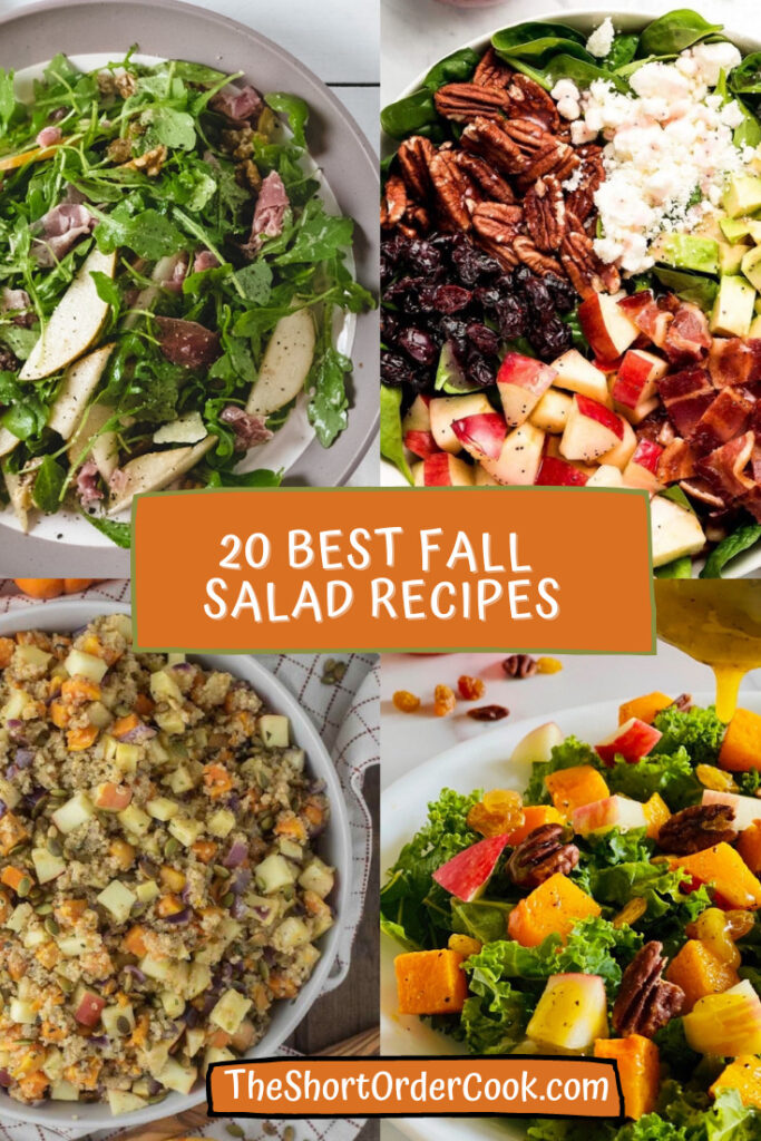 4 different recipes for fallsalads on plates. 