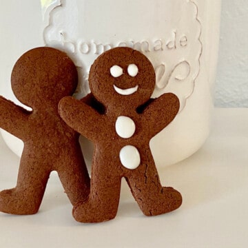 Chocolate Gingerbread Cookies featured two men and jar