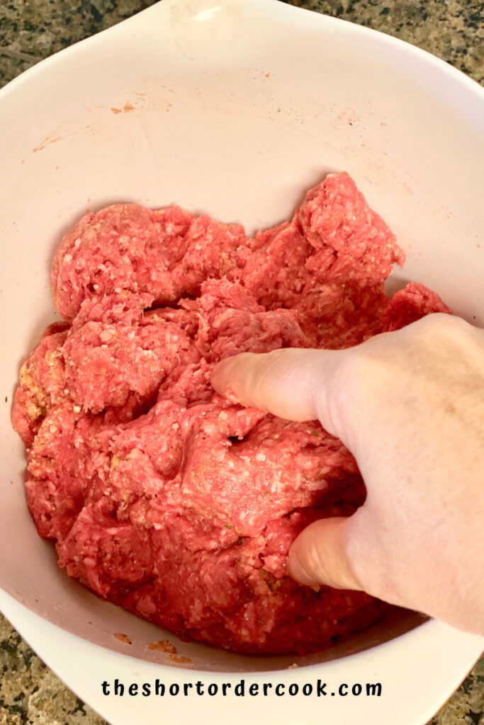 Slow Cooker Salisbury Steak meat mixture
