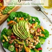 plate with salad greens, beans, avocado and dressing
