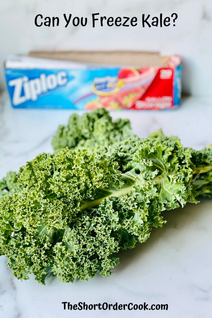 Can You Freeze Kale? PN1 a bunch of kale and a box of freezer Ziploc bags on a counter