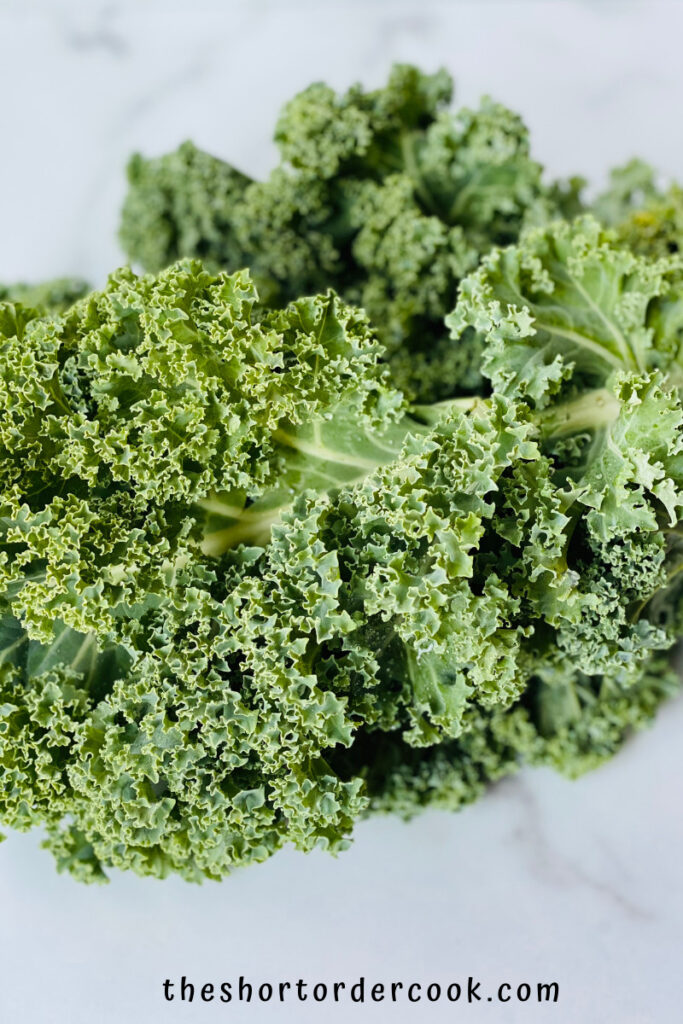 Can You Freeze Kale? closeup of a large bunch of green kale