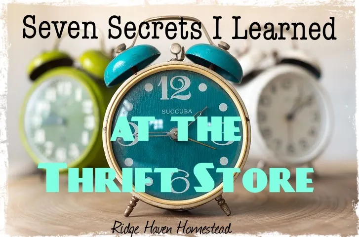 bloghop440 seven secrets i learned at the thrift shop ridgehavenhomestead a clock with text for the article name