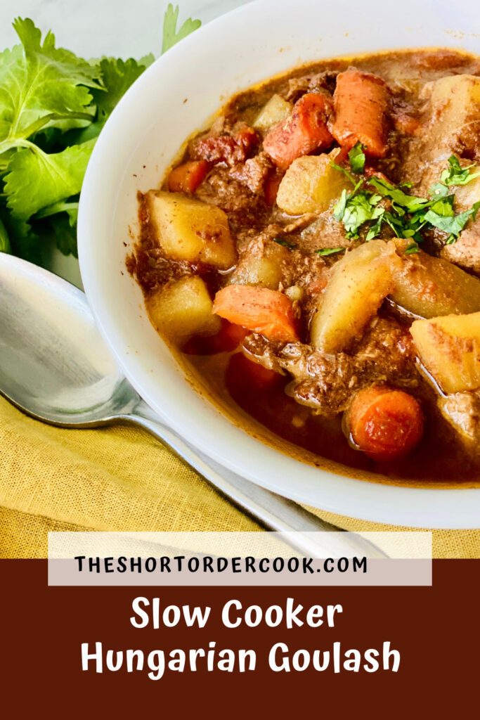 Slow Cooker Hungarian Goulash PIN