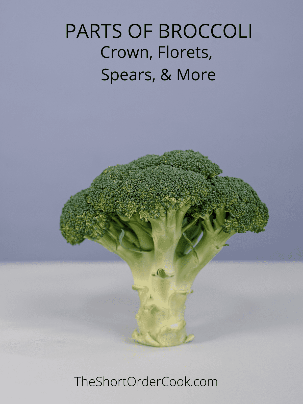 What is a Spear of Broccoli?