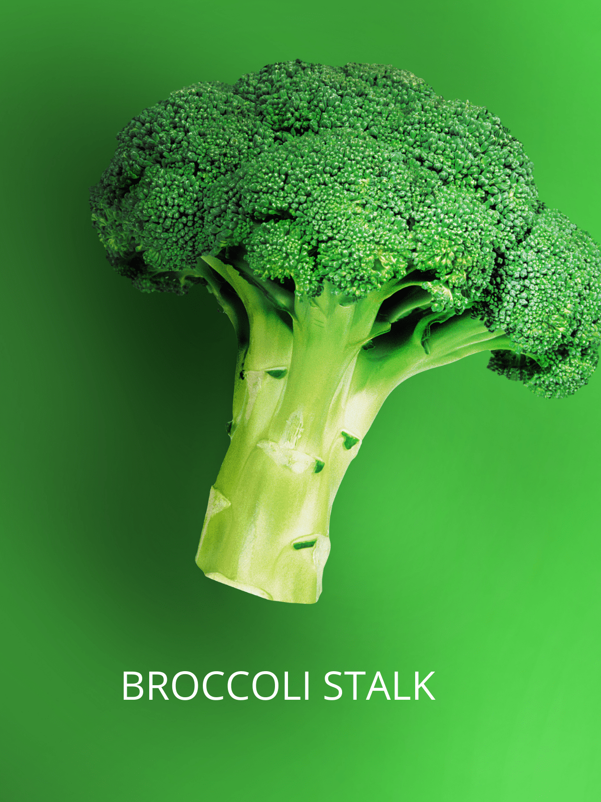 A large stalk of broccoli.