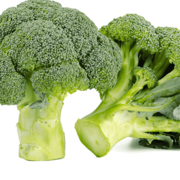 Two bunches of broccoli.