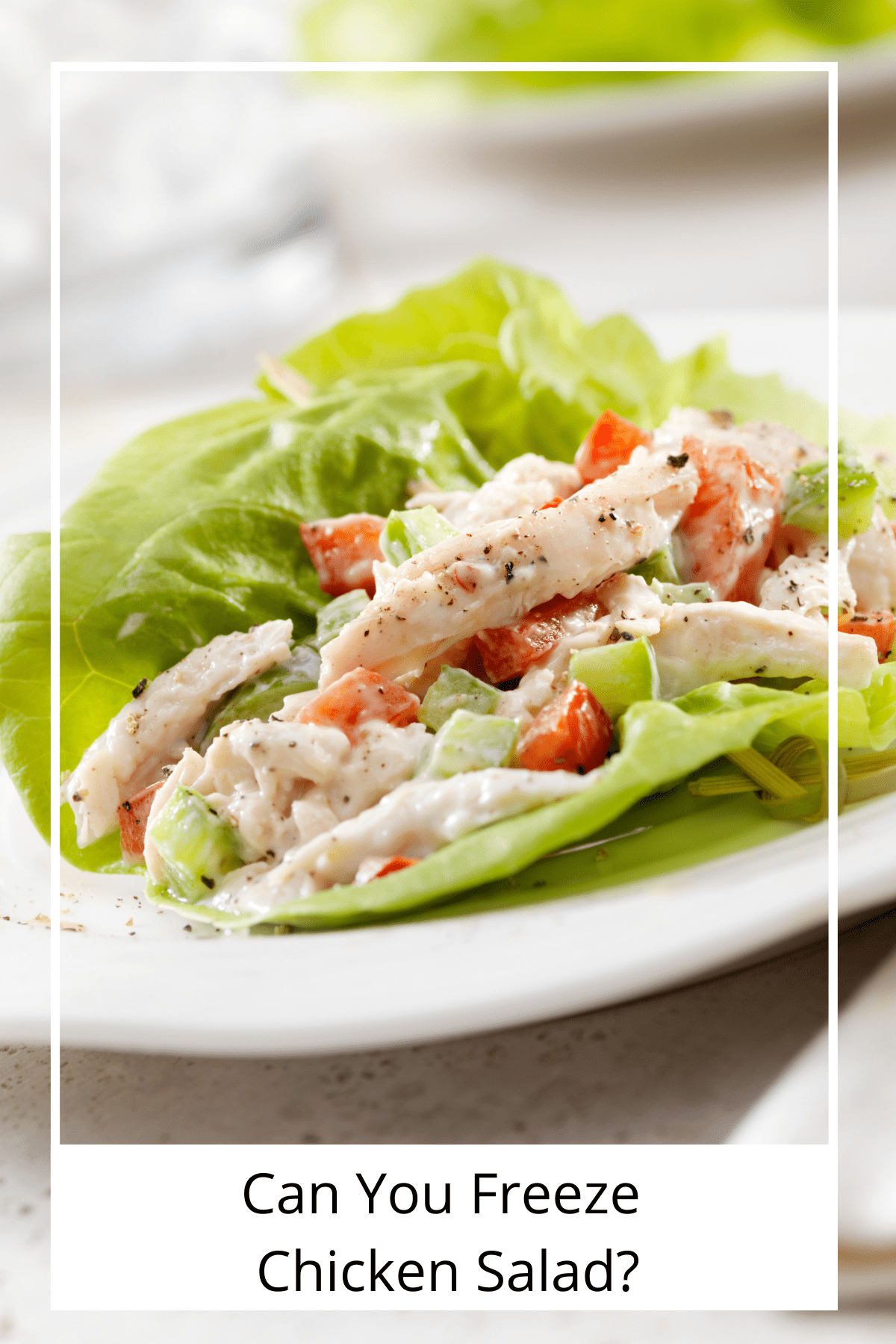 Lettuce leaves on a white plate topped with chicken salad.