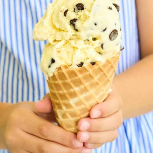 35+ Best Cuisinart Ice Cream Maker Recipes The Short Order Cook