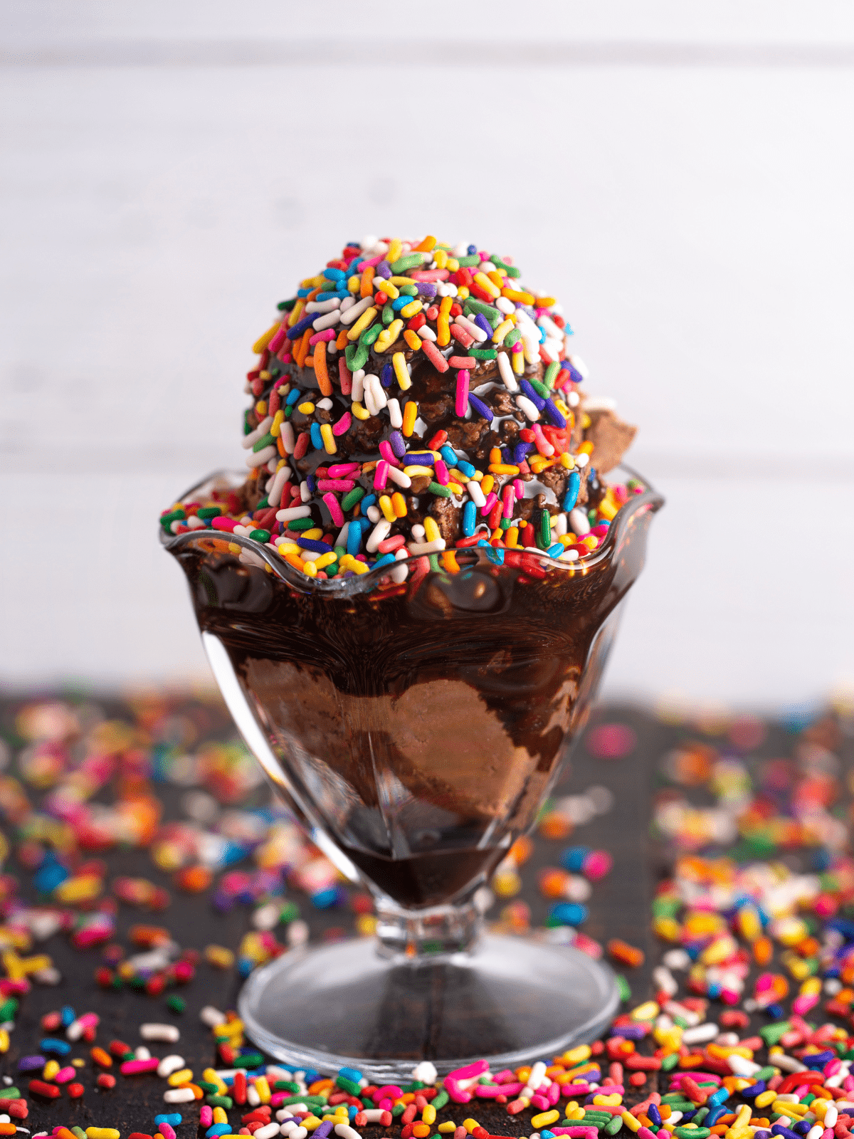 Chocolate ice cream topped with hot fudge and covered in rainbow sprinkles.