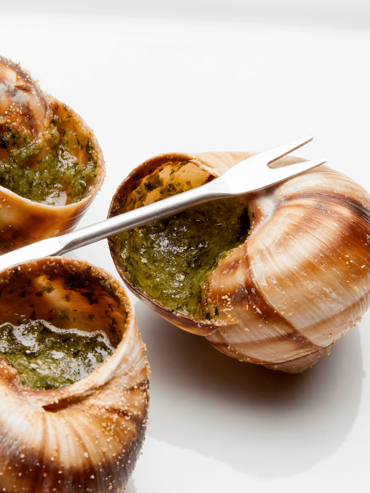 Cooked snails with an escargot fork.