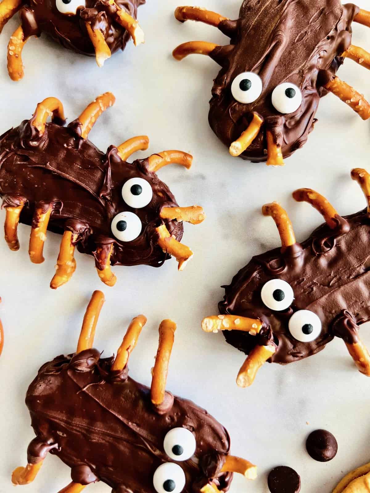 Closeup of 5 bug and spider chocolate cookies.