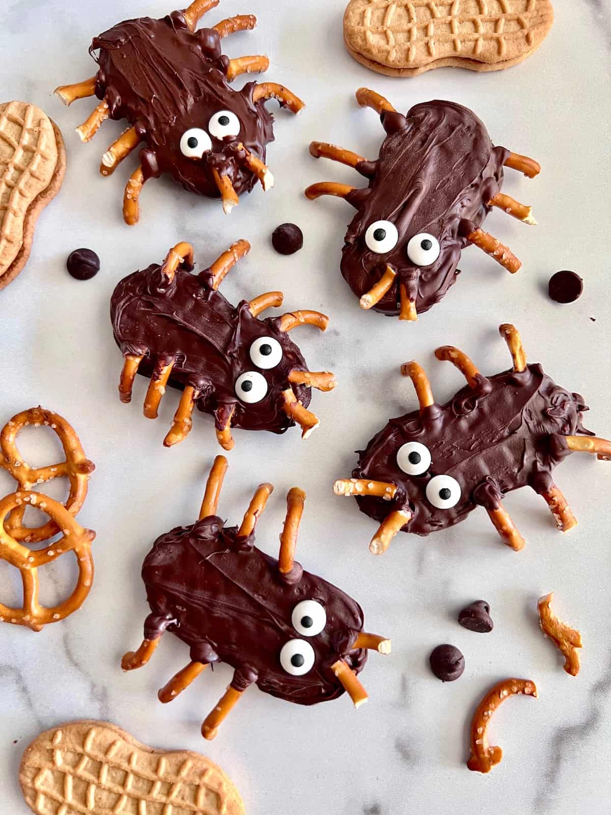 5 bug and spider peanut butter chocolate cookies ready to eat. 