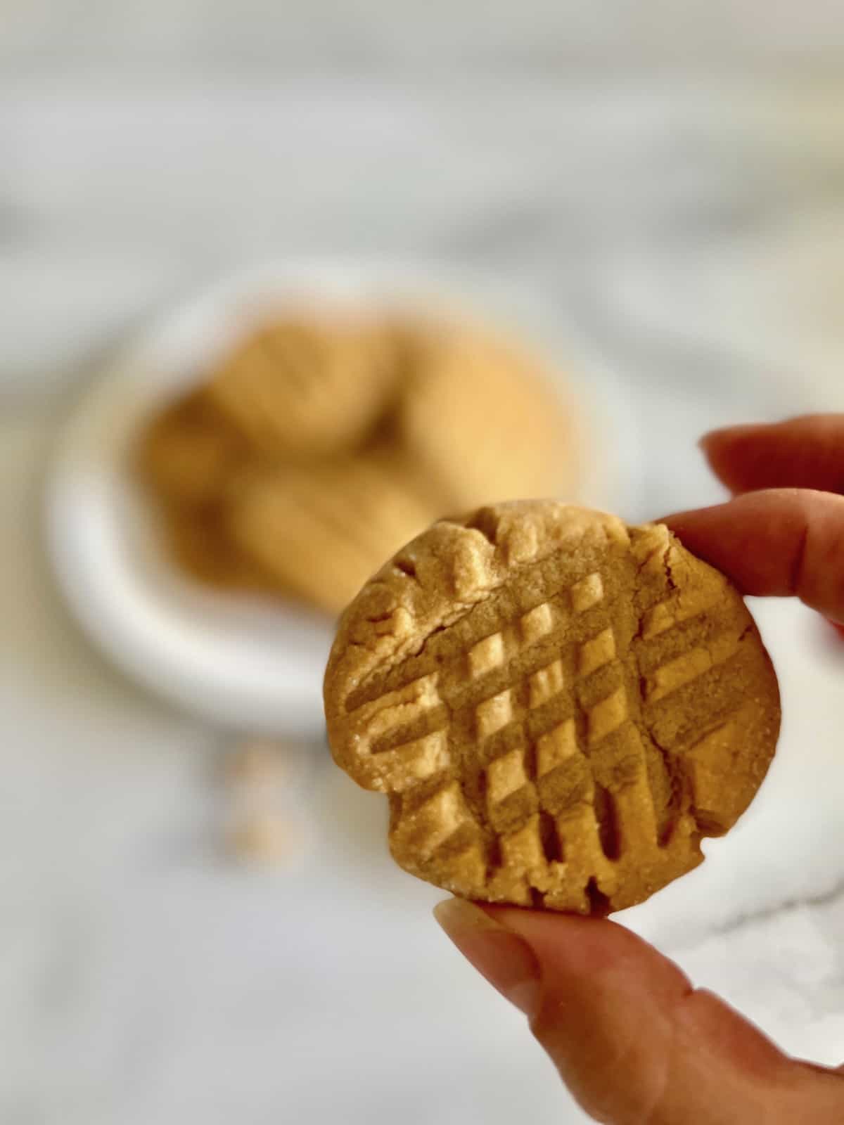 Small-Batch Peanut Butter Cookies Holding a peanut butter cookie closeup