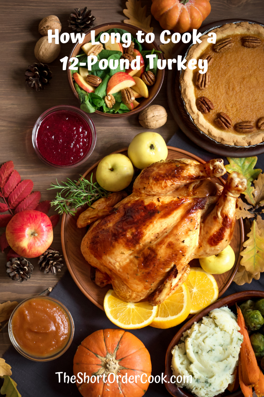 How Long to Cook a 12-Pound Turkey - The Short Order Cook