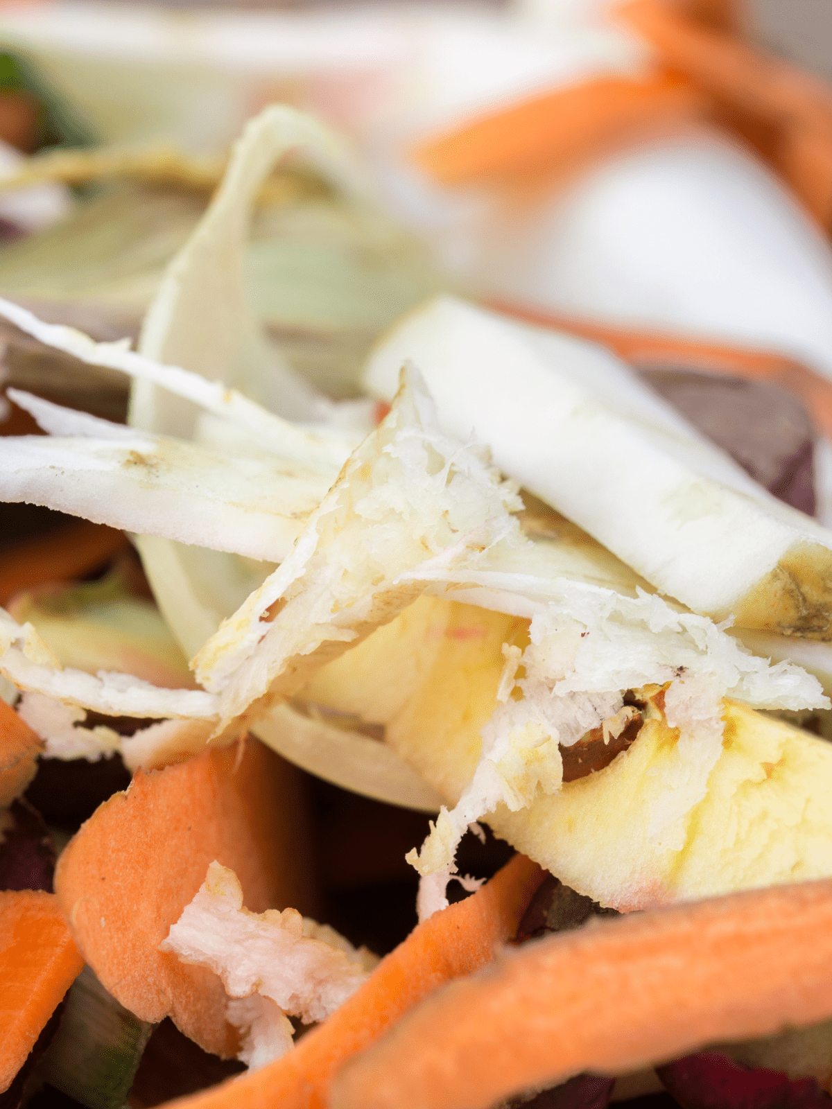 Vegetables scraps used to make bone broth with chicken carcass.