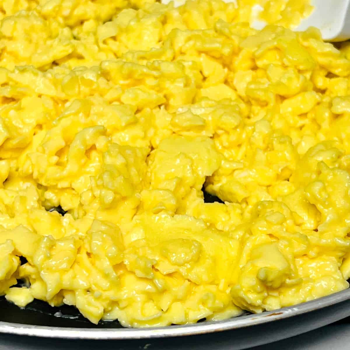 Soft Scrambled Eggs