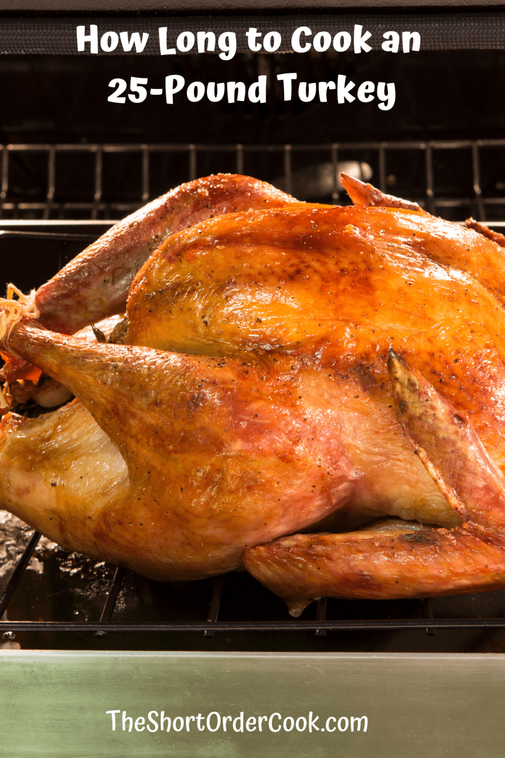 how-long-to-cook-a-25-pound-turkey-the-short-order-cook