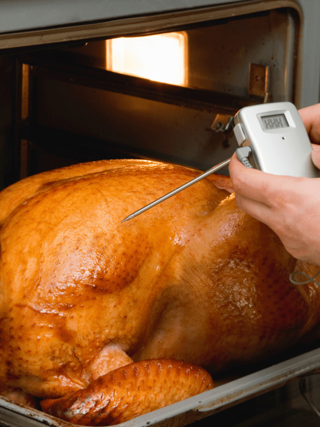How Long to Cook an 18Pound Turkey The Short Order Cook