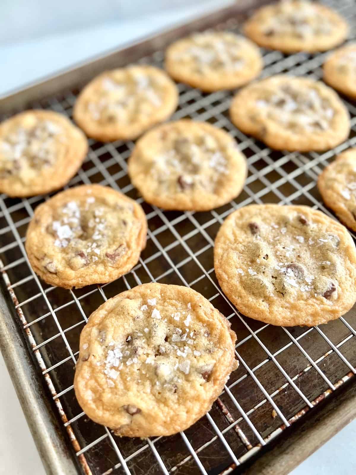 Sea Salt Toffee Chocolate Chip Cookies On a rack cooling off,