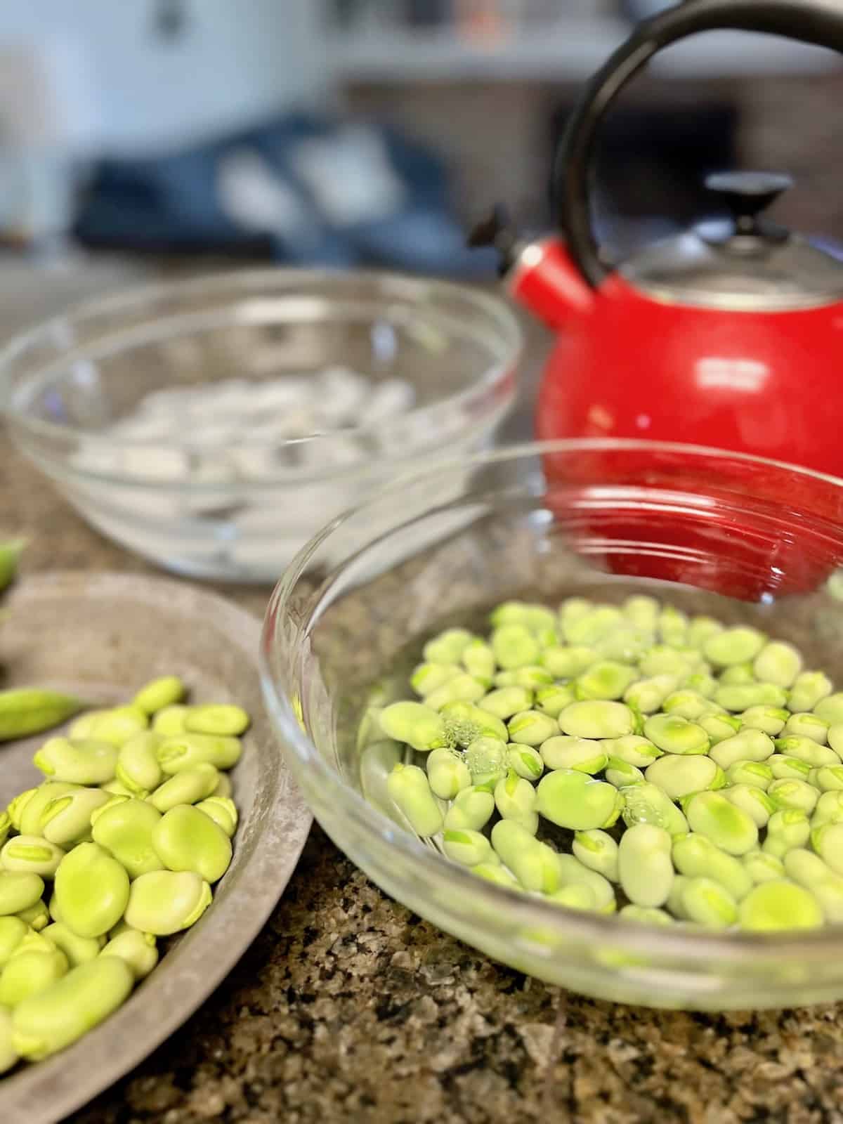Bowls of pods shelled and fava beans peeled for blanching.