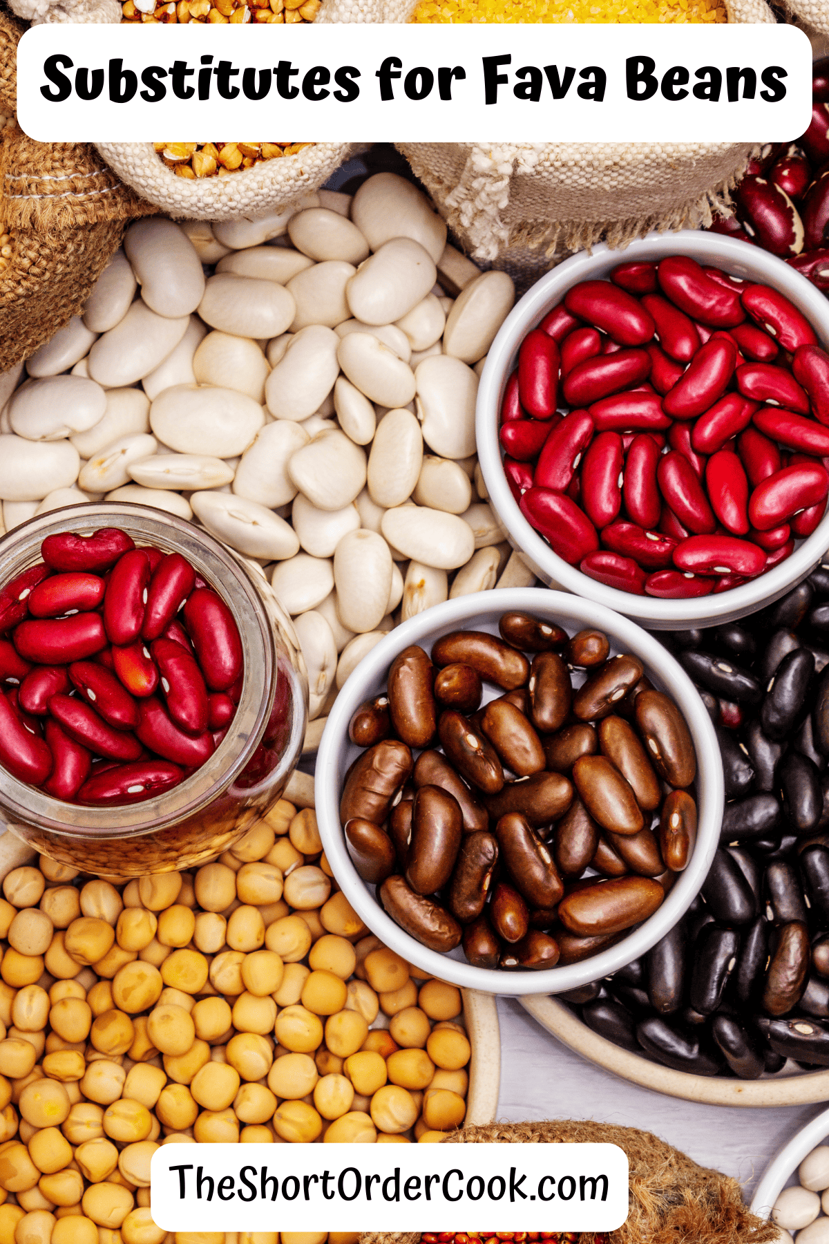 Many different kinds of dried beans that can be used as a substitute for favas, fabas, broad beans, or horse beans.