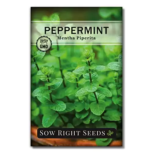Sow Right Seeds - Peppermint Seeds for Planting - Non-GMO Heirloom Packet with Instructions for Easy Planting and Growing an Herbal Tea Garden - Indoors or Outdoor - Medicinal & Culinary (1)
