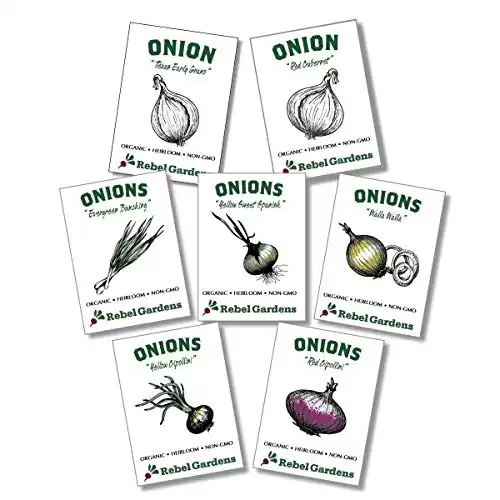 Organic Onion Seeds - 7 Varieties of Heirloom and Non-GMO Red, Yellow, and Green Onions for Planting