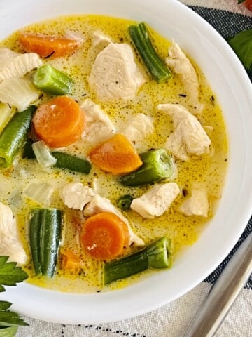Bowl of chicken stew with vegetables.