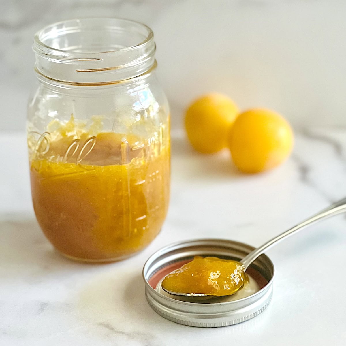Plum Jam - The Short Order Cook