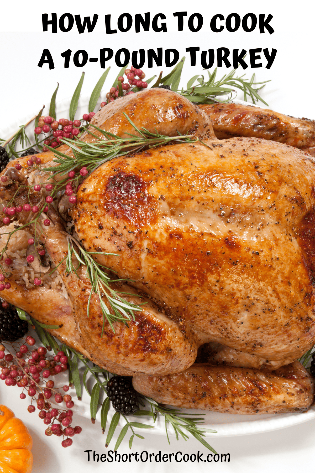 Oven roasted holiday bird done using recipe for temperature and times for How Long to Cook a 10 Pound Turkey 