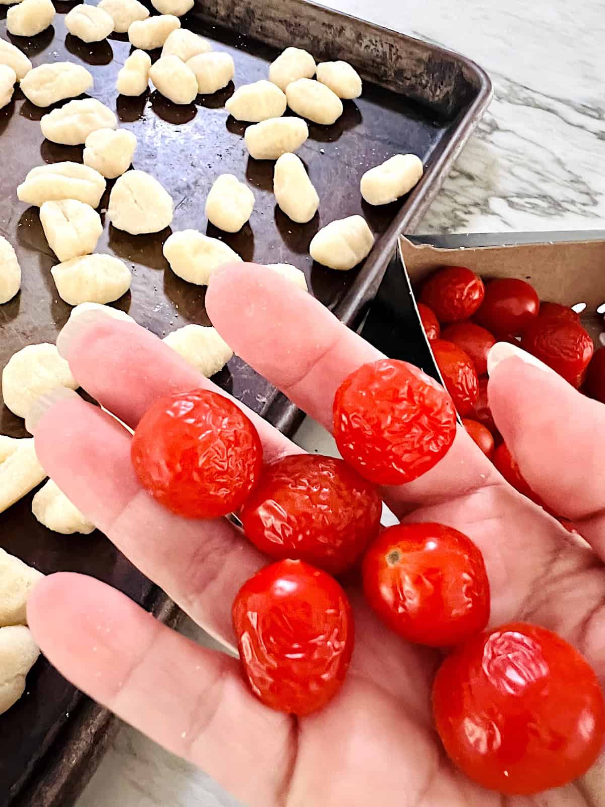 Hand showing shriveled dry cherry tomatoes.