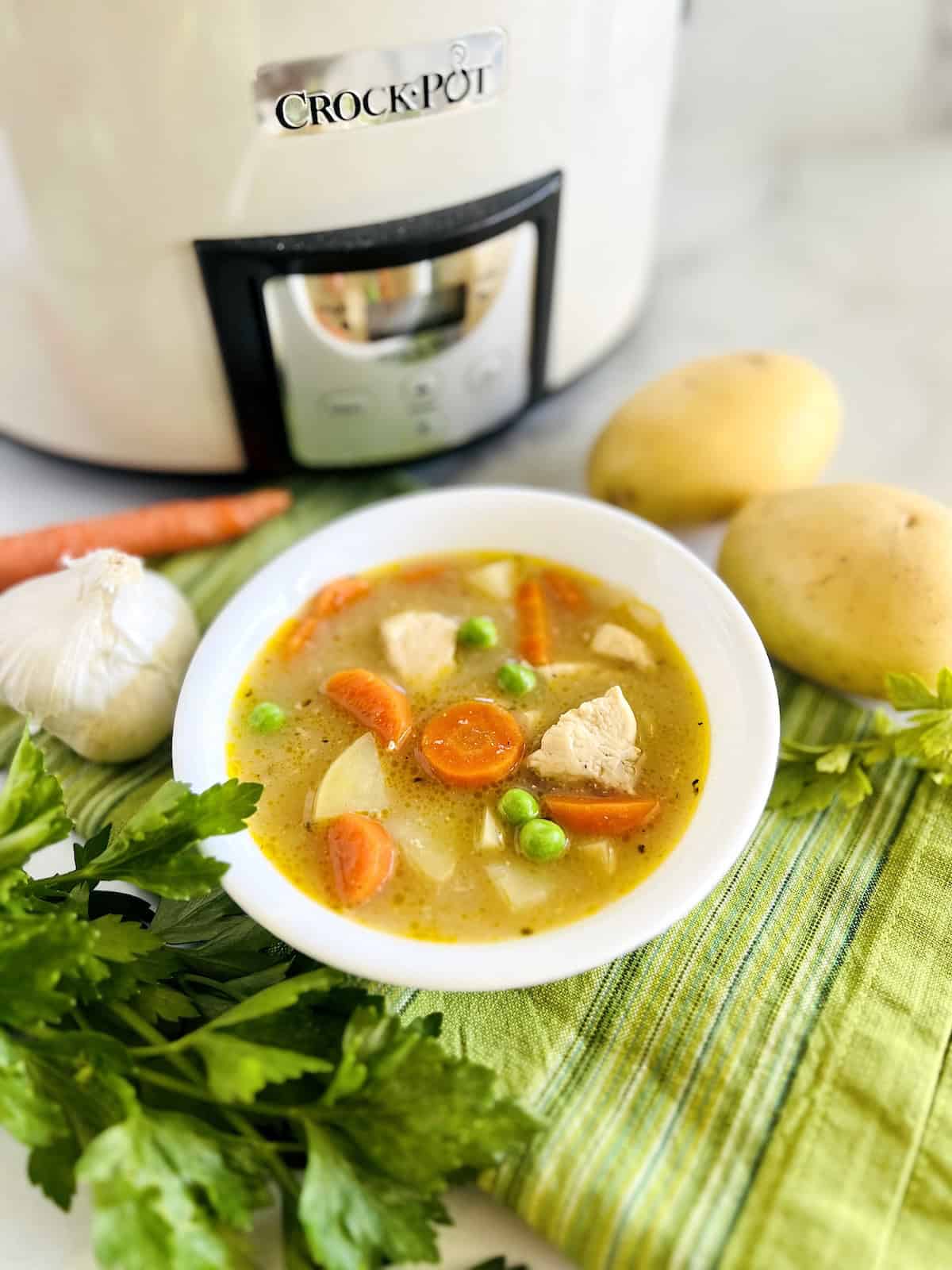 Crockpot full of Chicken Stew next to a bowl of it.