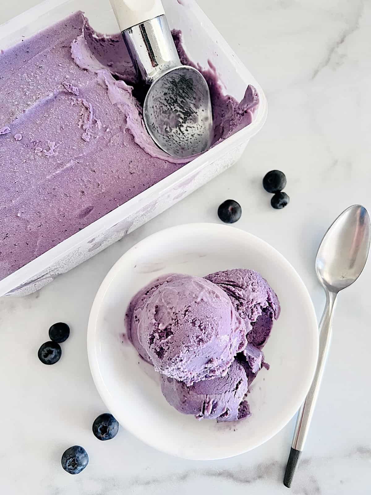 Blueberry Ice Cream Container and bowl with purple blue ice cream.