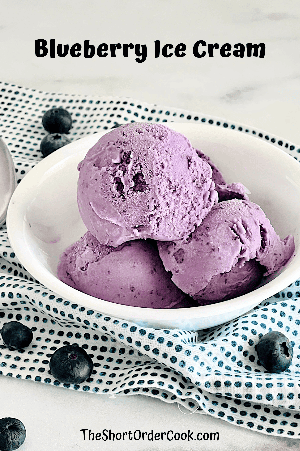 Bowl of fresh blueberry ice cream dessert in a dish ready to eat.