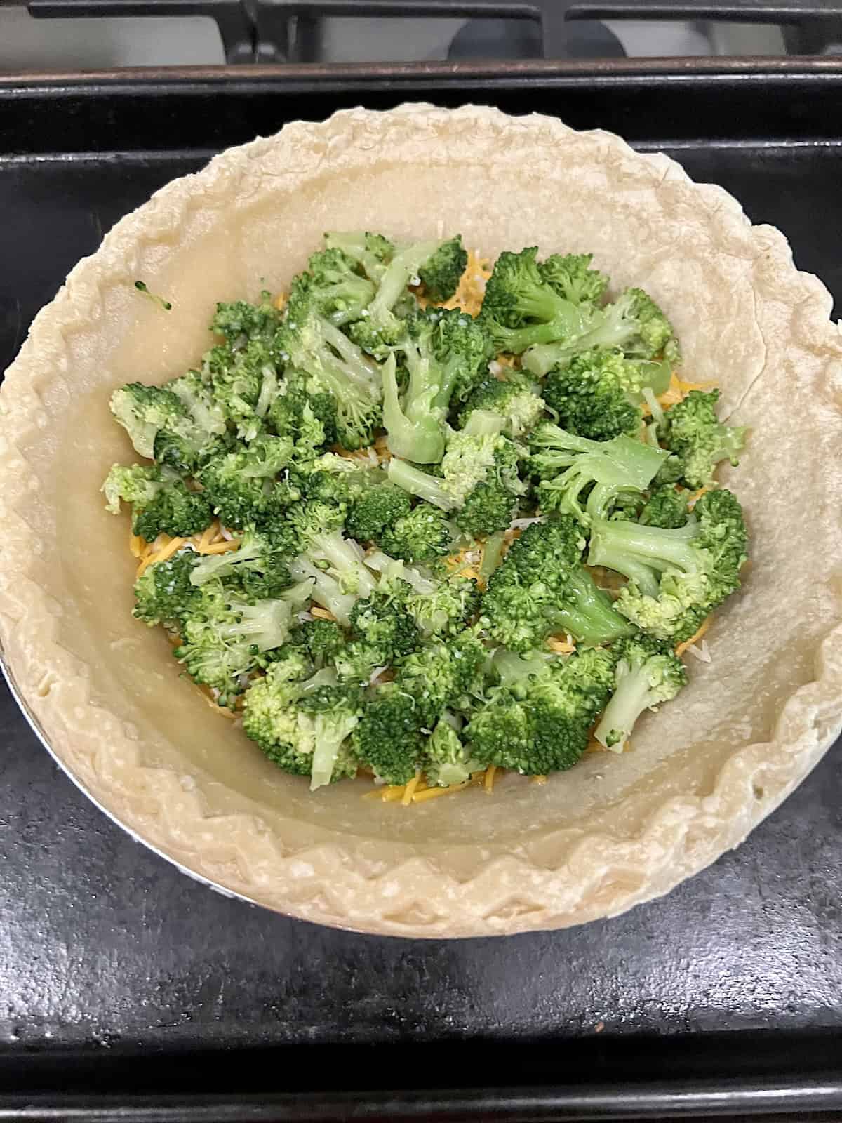 Pie crust topped with cheese and then cooked broccoli.