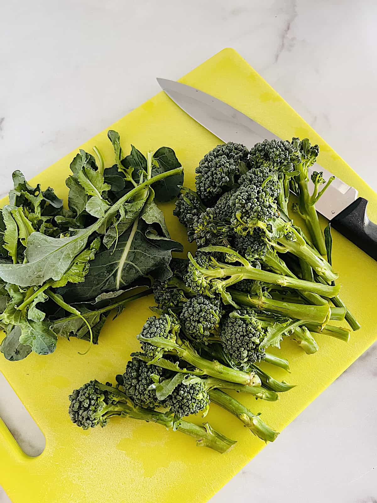 Broccoli Rabe Separating leaves from stalks on a cutting board