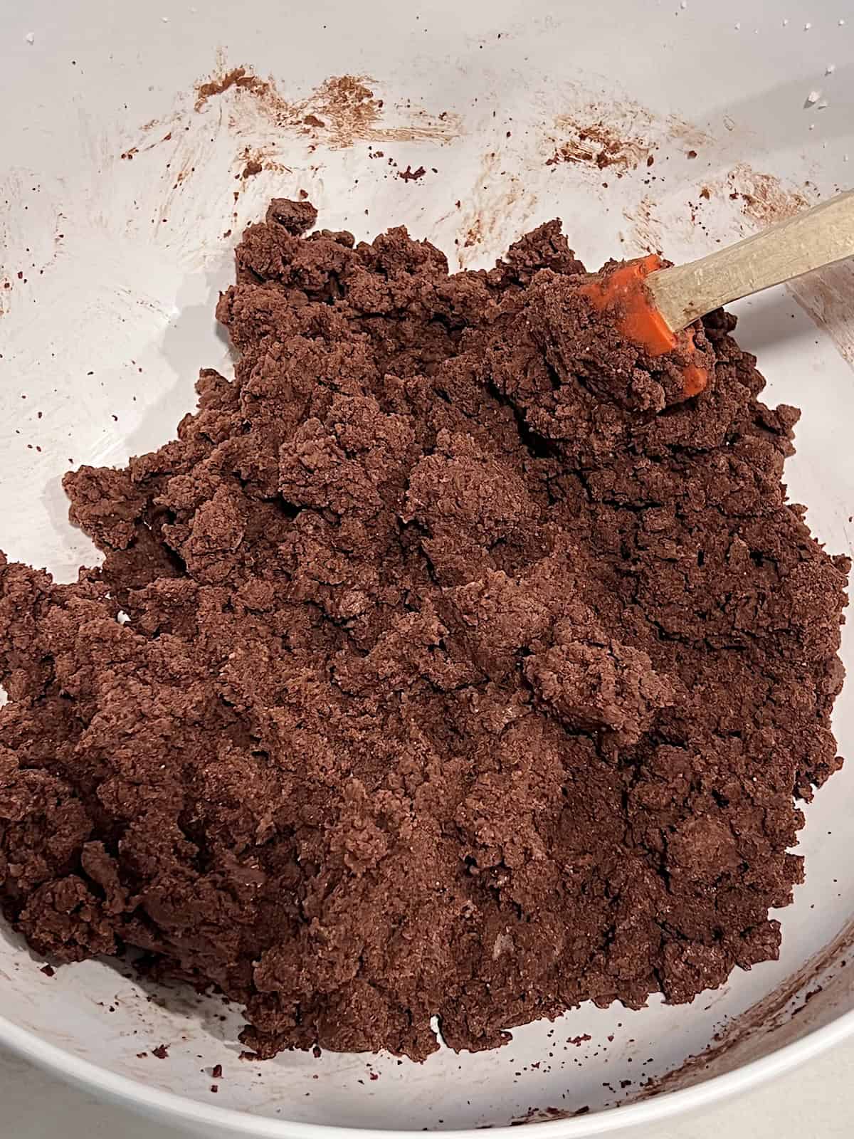 Showing chocolate dough in bowl before chilling