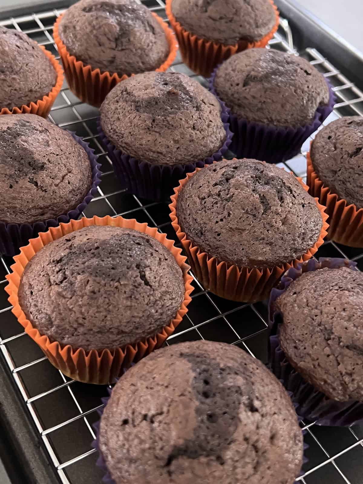 Chocolate Cupcakes Baked from a box mix and cooling on a rack