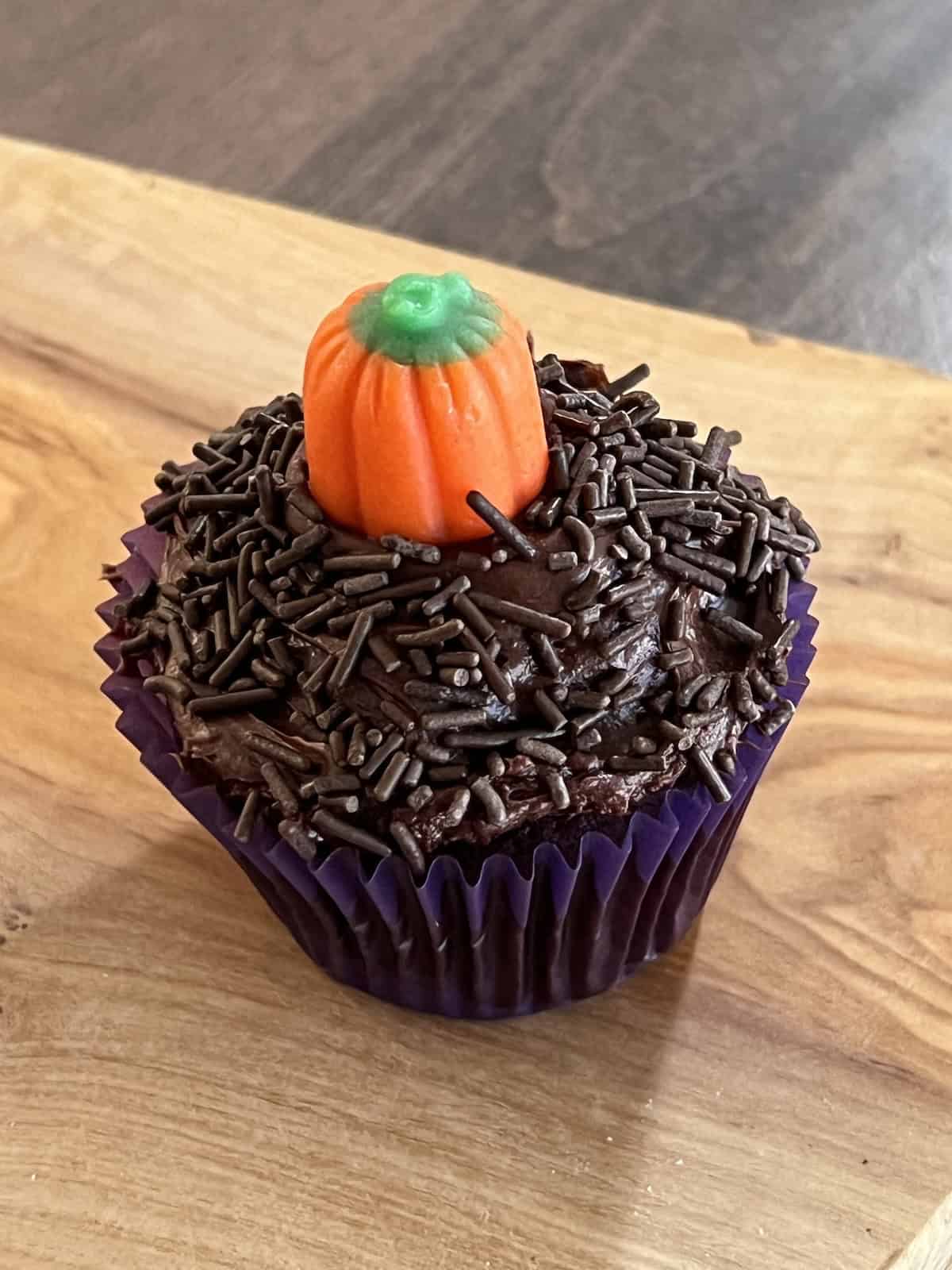 Decorated like a pumpkin patch with chocolate sprinkles & candy pumpkin.